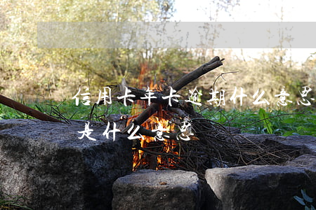信用卡年卡逾期什么意思(信用卡長時間逾期是什么意思)