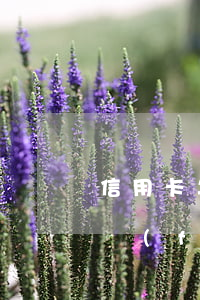 信用卡年費(fèi)2天逾期-信用卡年費(fèi)2天逾期