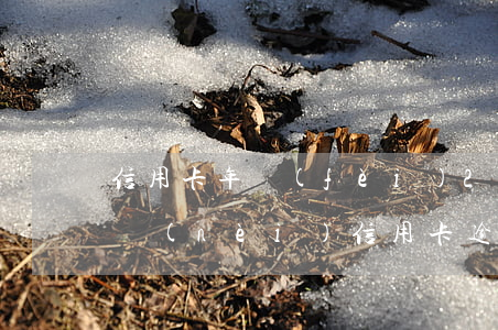 信用卡年費(fèi)2次逾期90天(一年內(nèi)信用卡逾期兩次)