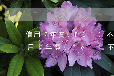 信用卡年費(fèi)不知情情況下逾期(信用卡年費(fèi)不知情情況下逾期了怎么辦)