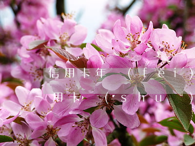 信用卡年費(fèi)不還有什么影響(辦信用卡說(shuō)的不要年費(fèi),為什么還扣了)