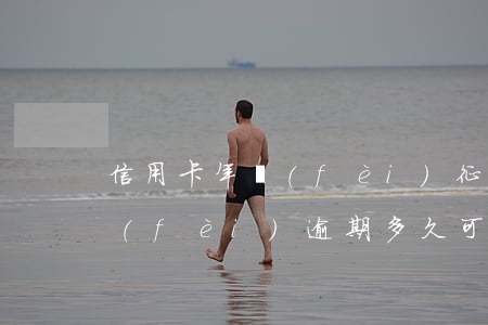 信用卡年費(fèi)征信逾期怎么辦(年費(fèi)逾期多久可以消除征信)