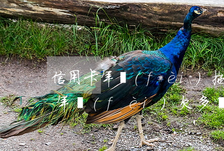 信用卡年費(fèi)拖欠造成逾期(信用卡年費(fèi)欠多長(zhǎng)時(shí)間算逾期)