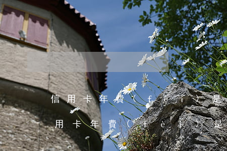 信用卡年費(fèi)是多少錢(招商銀行信用卡年費(fèi)是多少錢)