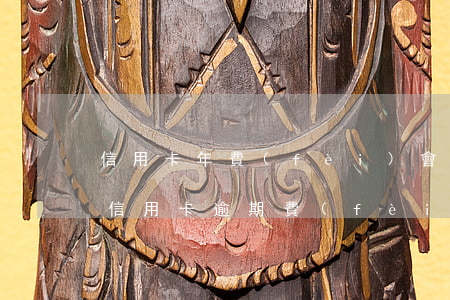 信用卡年費(fèi)會(huì)逾期嗎 信用卡 逾期 費(fèi)用