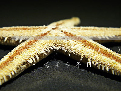 信用卡年費(fèi)欠了二年還能貸款嗎-信用卡年費(fèi)欠了二年還能貸款嗎怎么辦