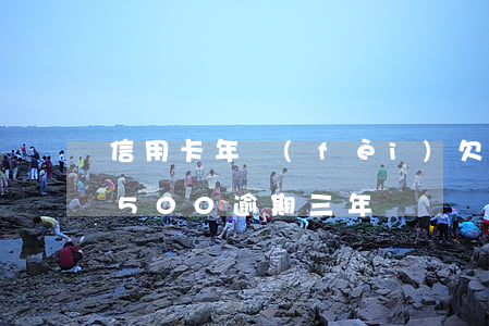 信用卡年費(fèi)欠款逾期(欠信用卡1500逾期三年)