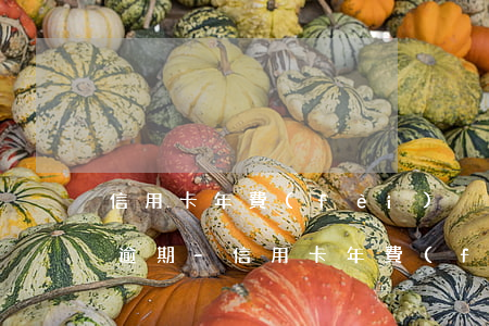 信用卡年費(fèi)沒交導(dǎo)致逾期-信用卡年費(fèi)沒交導(dǎo)致逾期了