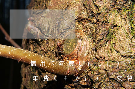 信用卡年費(fèi)沒交算逾期-信用卡年費(fèi)沒交算逾期嗎,可以補(bǔ)上嗎