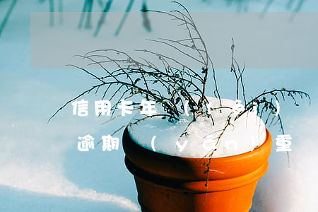 信用卡年費(fèi)產(chǎn)生的逾期嚴(yán)重嗎(信用卡年費(fèi)產(chǎn)生的逾期嚴(yán)重嗎怎么辦)