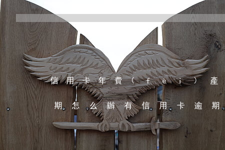 信用卡年費(fèi)產(chǎn)生逾期怎么辦(有信用卡逾期一年的嗎)