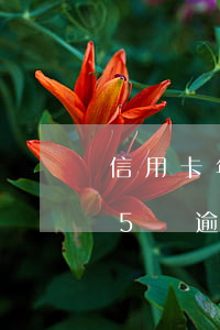 信用卡年費(fèi)逾期14天(信用卡15萬逾期一年多少利息)