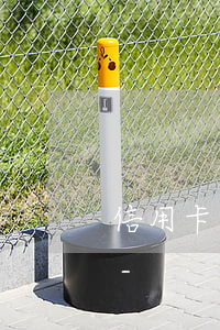 信用卡年費(fèi)逾期5年信用作廢嗎-