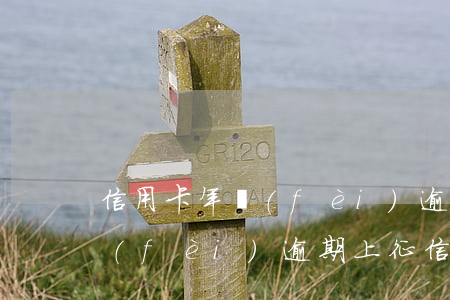 信用卡年費(fèi)逾期上不上征信(年費(fèi)逾期上征信嗎)