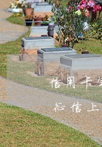 信用卡年費(fèi)逾期上征信了怎么消(征信上信用卡逾期可以消嗎)