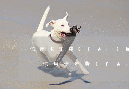 信用卡年費(fèi)逾期不能公積金貸款-信用卡年費(fèi)逾期不能公積金貸款嗎