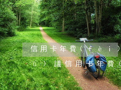 信用卡年費(fèi)逾期人民銀行復(fù)議(信用卡年費(fèi)逾期人民銀行復(fù)議要多久)