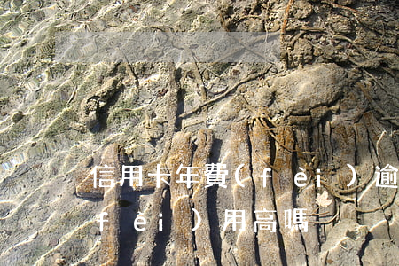 信用卡年費(fèi)逾期（信用卡逾期費(fèi)用高嗎）