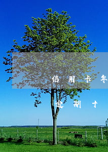 信用卡年費(fèi)逾期十天上不上征信(逾期十幾天會(huì)不會(huì)上征信)