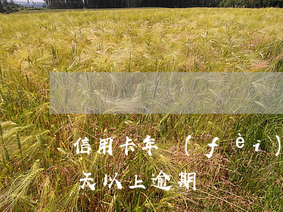 信用卡年費(fèi)逾期十天 信用卡90天以上逾期