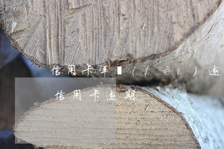 信用卡年費(fèi)逾期十幾次-幾千塊信用卡逾期