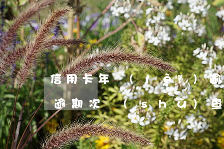 信用卡年費(fèi)逾期如何查詢(信用卡逾期次數(shù)查詢)