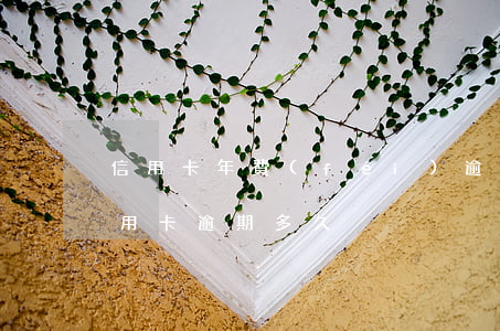 信用卡年費(fèi)逾期幾天會怎么樣(信用卡 逾期多久)
