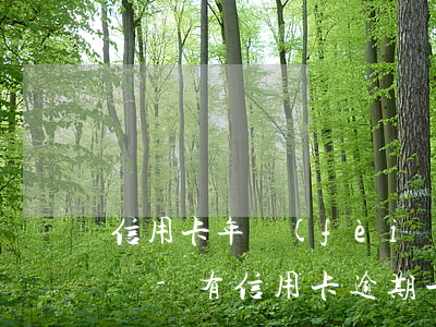 信用卡年費(fèi)逾期幾次可以出證明嗎-有信用卡逾期一年的嗎