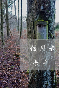 信用卡年費(fèi)逾期征信怎么辦(信用卡年費(fèi)逾期了怎么辦)