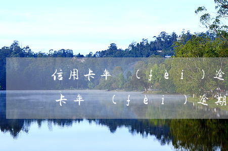 信用卡年費(fèi)逾期怎么寫申請(信用卡年費(fèi)逾期怎么寫申請)