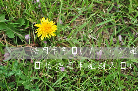 信用卡年費(fèi)逾期情況說明范本(各銀行信用卡逾期天數(shù))