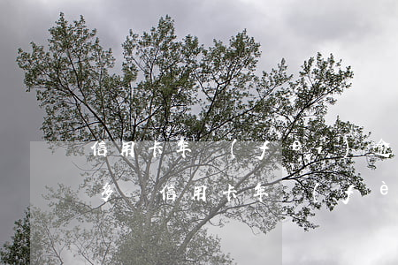信用卡年費(fèi)逾期收費(fèi)多嗎(信用卡年費(fèi)逾期收費(fèi)多嗎)