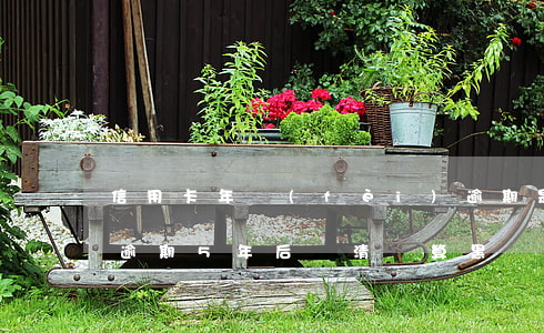 信用卡年費(fèi)逾期是黑戶嗎(信用卡逾期5年后還清 還算黑戶嗎?)