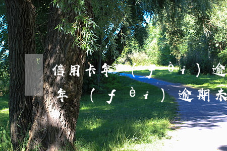 信用卡年費(fèi)逾期未交怎么辦(信用年費(fèi)逾期未還記錄怎么消)