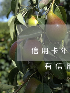 信用卡年費(fèi)逾期未還上證信嗎(有沒有信用卡逾期一年以上沒還的)