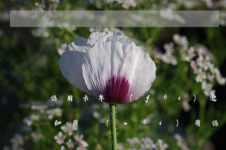 信用卡年費(fèi)逾期沒(méi)通知 有沒(méi)有信用卡逾期半年的