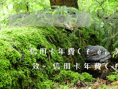 信用卡年費(fèi)逾期申請修改幾天生效-信用卡年費(fèi)逾期申請修改幾天生效啊