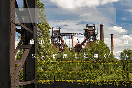 信用卡年費(fèi)逾期的后果和解決辦法-信用卡年費(fèi)逾期的后果和解決辦法是什么