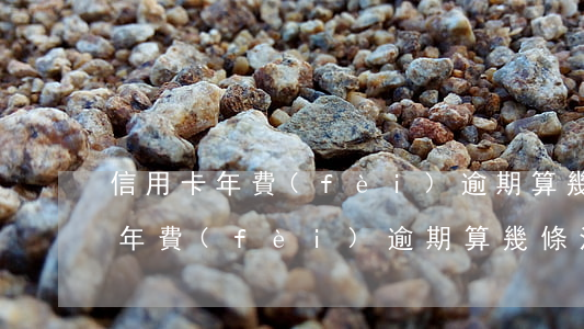 信用卡年費(fèi)逾期算幾條-信用卡年費(fèi)逾期算幾條法律