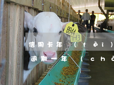 信用卡年費(fèi)逾期記錄一年(信用卡逾期一年產(chǎn)生多少費(fèi)用)
