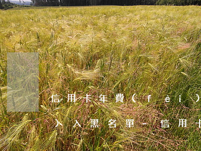 信用卡年費(fèi)逾期記錄進(jìn)入黑名單-信用卡年費(fèi)逾期記錄進(jìn)入黑名單怎么辦