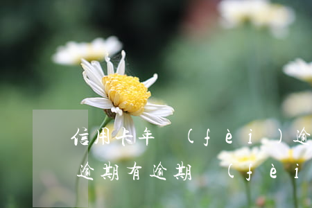 信用卡年費(fèi)逾期辦不了車貸(車貸逾期有逾期費(fèi)用嗎)