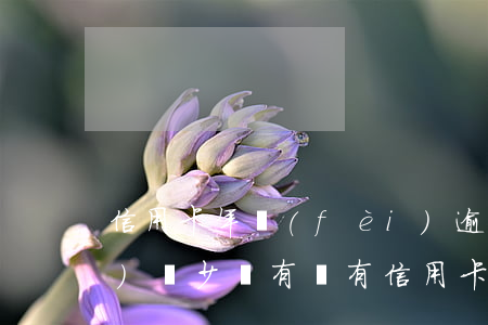 信用卡年費(fèi)逾期金額會(huì)減少嗎 有沒有信用卡逾期一年以上的