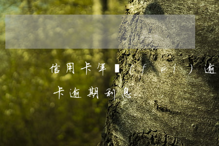 信用卡年費(fèi)逾期銀行說(銀行信用卡逾期利息)