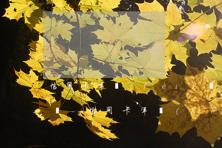 信用卡年費(fèi)長期逾期上征信怎么辦-信用卡年費(fèi)長期逾期上征信怎么辦啊