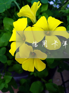 信用卡年費(fèi)非惡意逾期證明