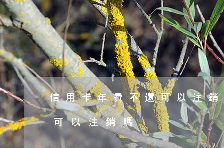 信用卡年費不還可以注銷嗎(信用卡年費不還可以注銷嗎)