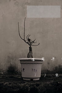 信用卡年費怎么算逾期(法律有沒有規(guī)定信用卡逾期收費多少)