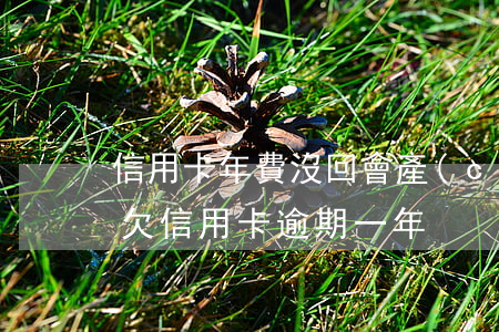 信用卡年費沒回會產(chǎn)生逾期嗎(欠信用卡逾期一年)
