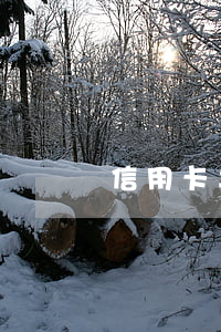 信用卡年費逾期150元(信用卡逾期收費)